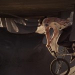 BMX :  Red Bull Design Quest 2013