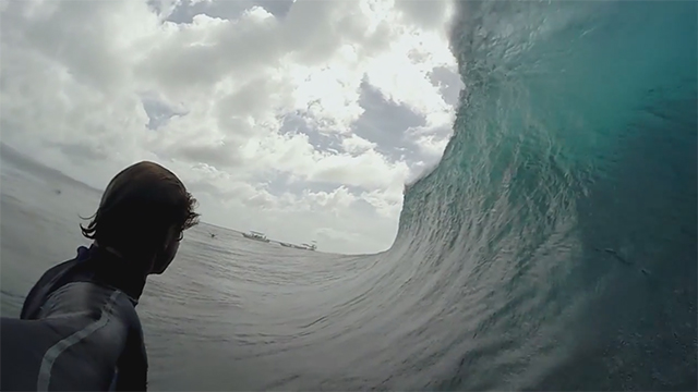 alex grey surf